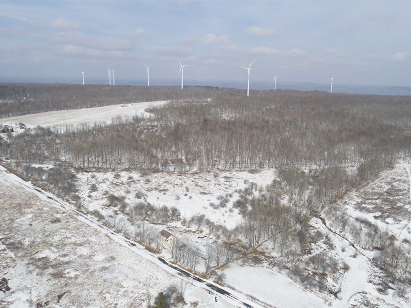 Predominantly Wooded, Opportunity : Norway : Herkimer County : New York