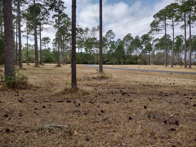 Water Access Land for Sale, Aurora : Aurora : Beaufort County : North Carolina