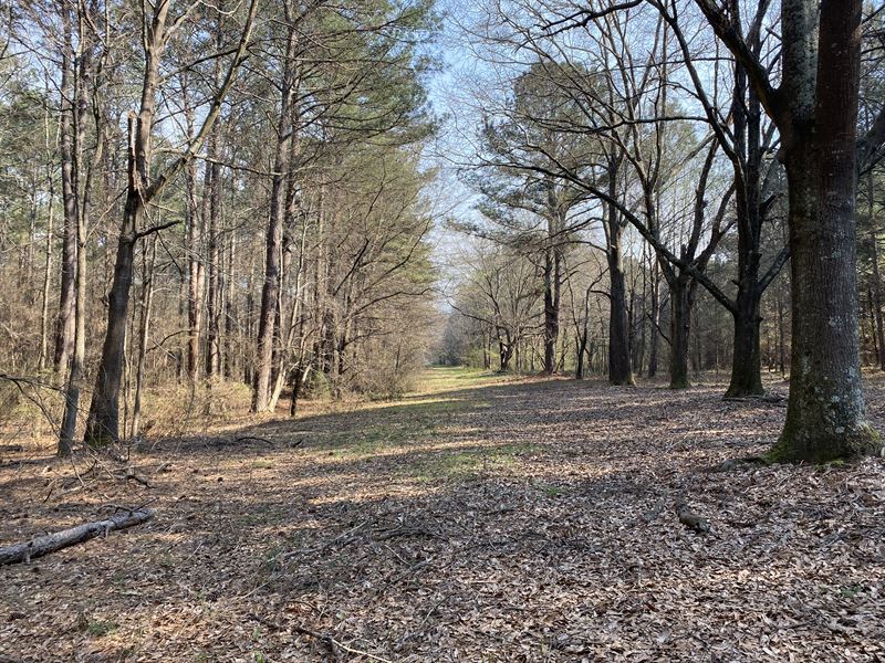 Bishop Woodlands Tract 2 : Bishop : Oconee County : Georgia