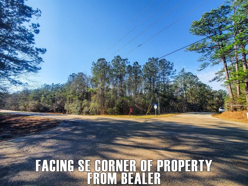 25 Percent Down, Paved Rd, By Town : Bush : Saint Tammany Parish : Louisiana