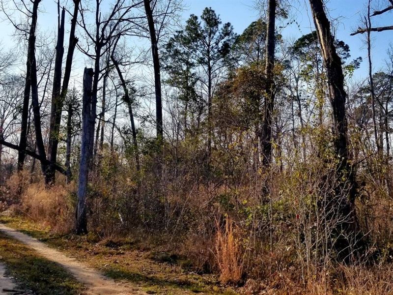 Sam Town Rd Iatt Lake Lot, Grant PA : Dry Prong : Grant Parish : Louisiana