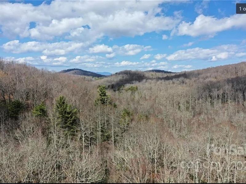 71.13 Acres Bordering Chimney Rock : Black Mountain : Buncombe County : North Carolina
