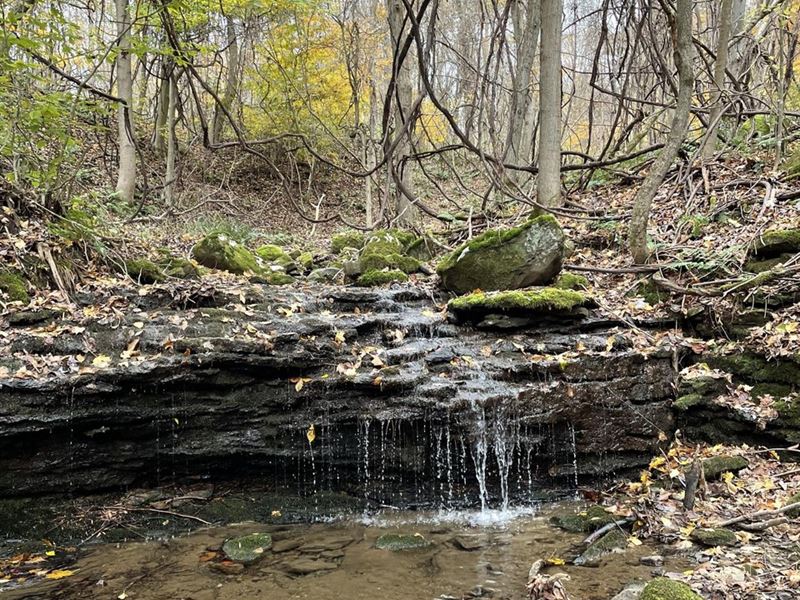 Falls Rd, Venango County, 150 Ac : Cochranton : Venango County : Pennsylvania
