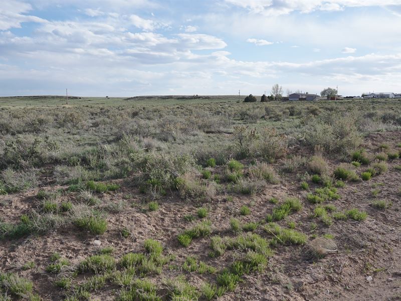 New Mexico's Quiet Countryside : Moriarty : Torrance County : New Mexico