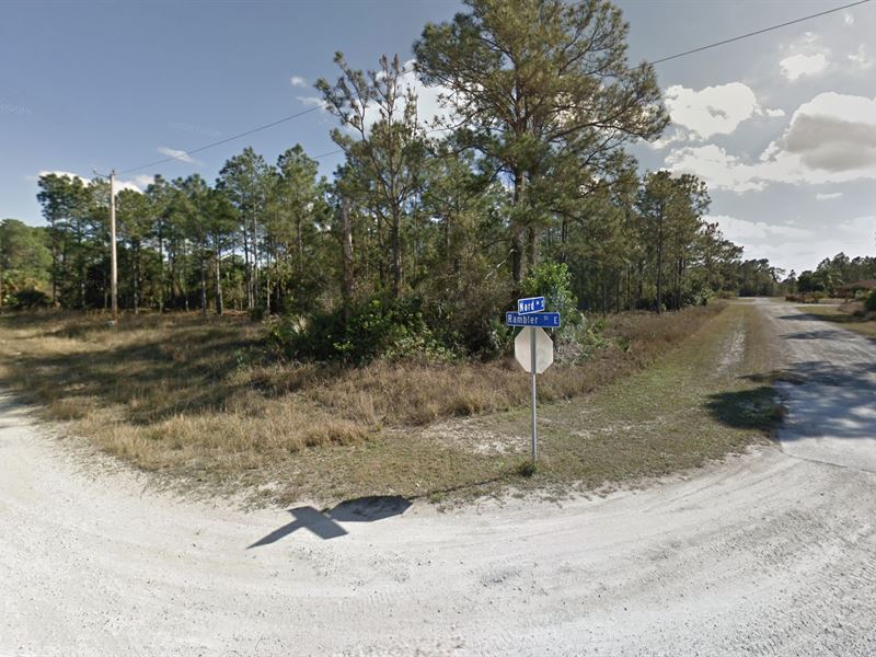1/4 Acre in Southwest Florida : Lehigh Acres : Lee County : Florida