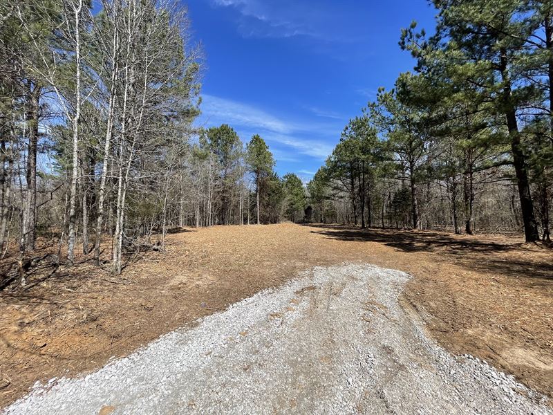 51.4 Ac, Timber, Red River County : Clarksville : Red River County : Texas