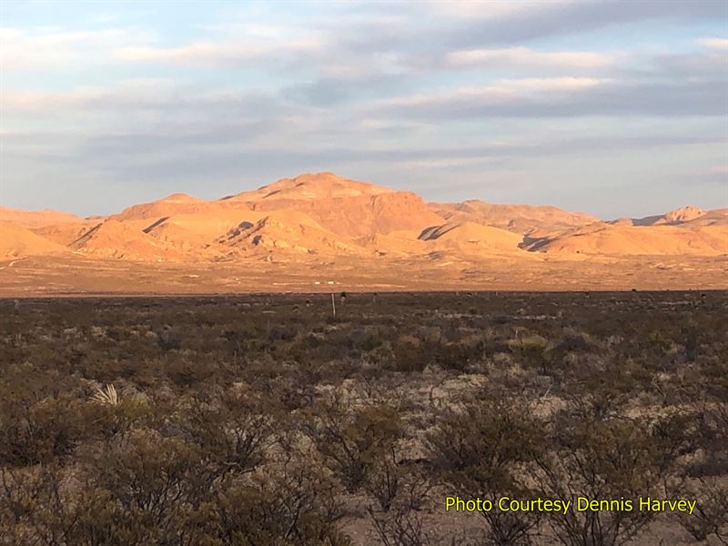 40 Ac, Green River Area : Van Horn : Hudspeth County : Texas