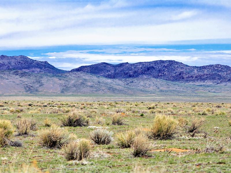 7.45 Ac Lot Near Rio Grande River : San Luis : Costilla County : Colorado