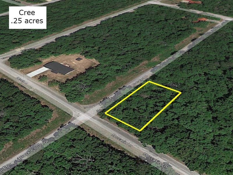 .25 Acre Corner Lot in Lake Tansi : Crossville : Cumberland County : Tennessee