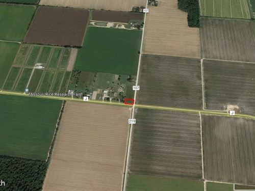 Residential Lot For Sale in Campbel : Campbell : Dunklin County : Missouri