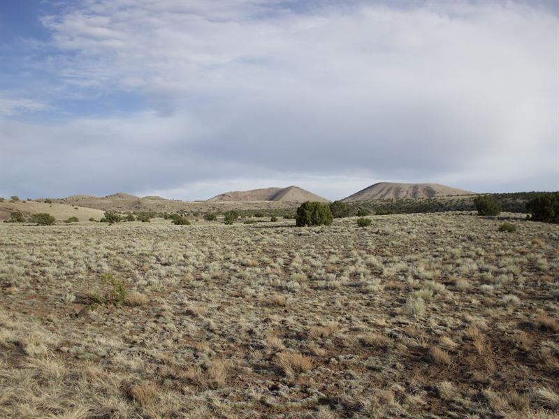 Find Peace in Natural Terrain : Concho : Apache County : Arizona