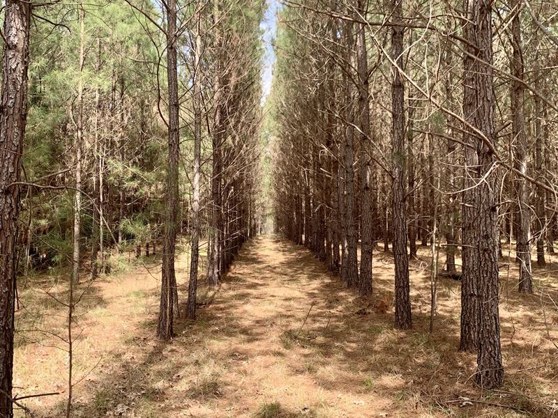Wilkes Tract : Washington : Wilkes County : Georgia