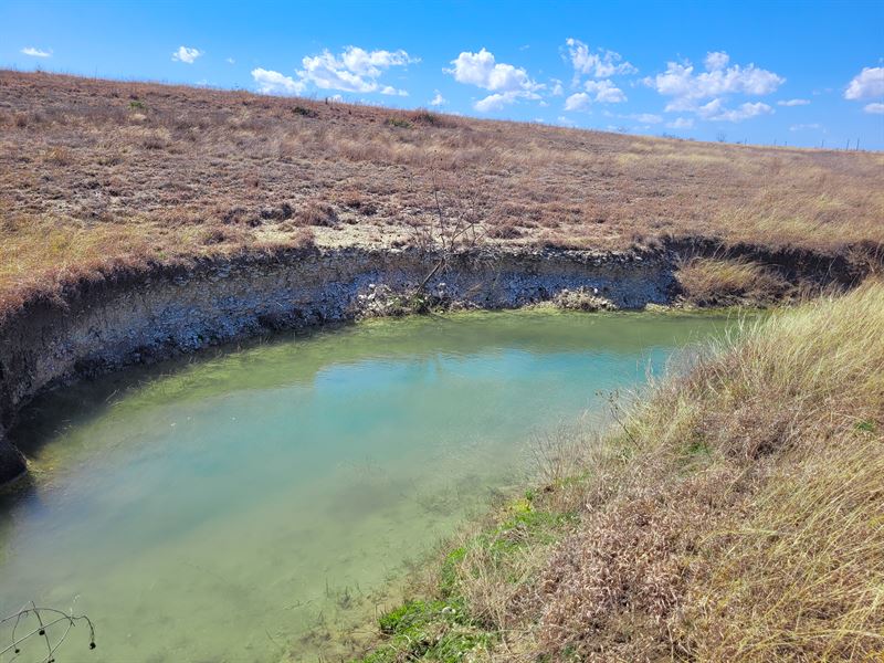 25 Acres in Burnet County, TX : Bertram : Burnet County : Texas