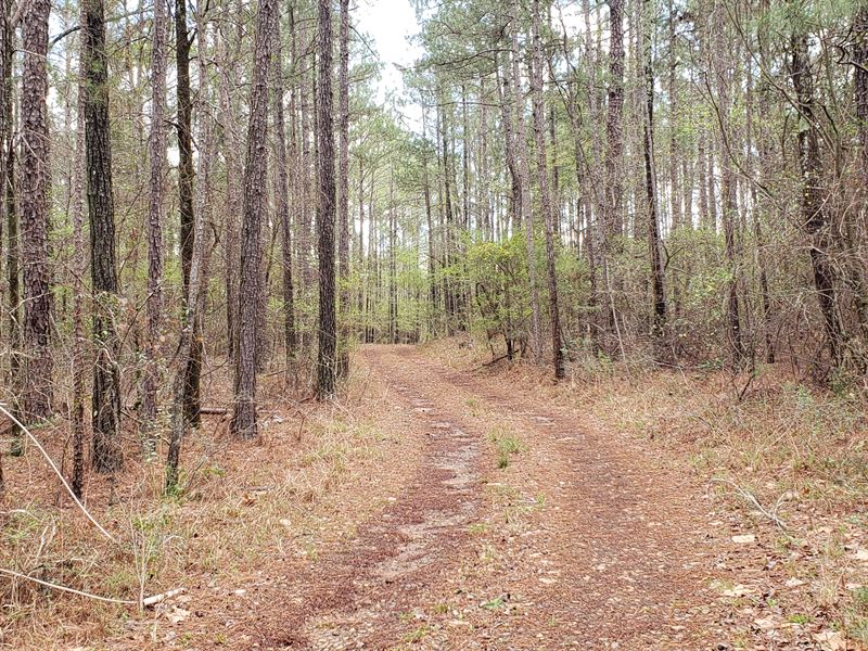 Great Highway 18 Location : Gray : Jones County : Georgia