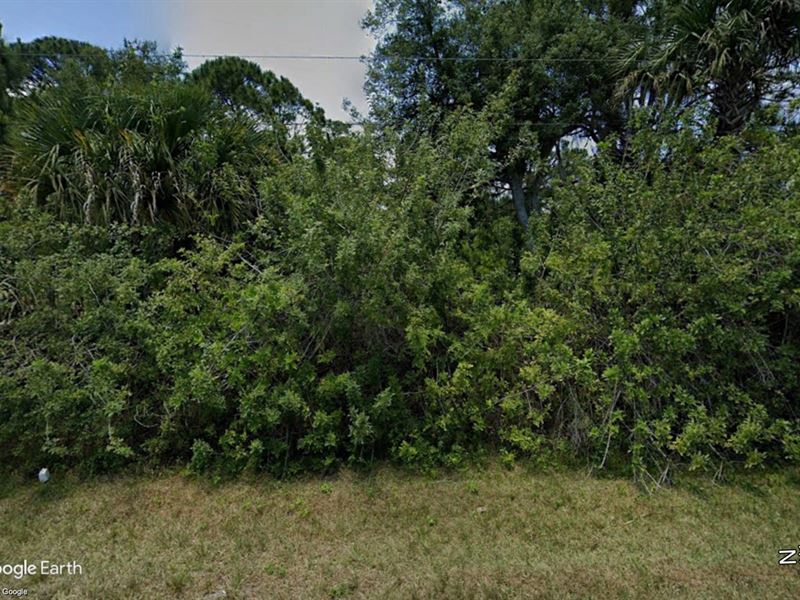 Retire in The Land of Sun & Citrus : Port Charlotte : Charlotte County : Florida
