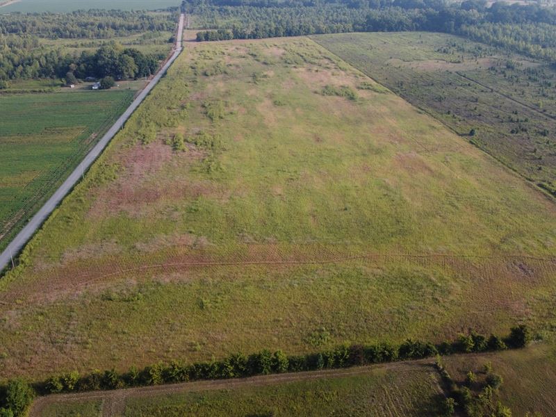 Beautiful Ranch Potential : Little Rock : Pulaski County : Arkansas
