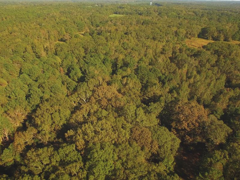 Cherokee Estate : Wetumpka : Elmore County : Alabama