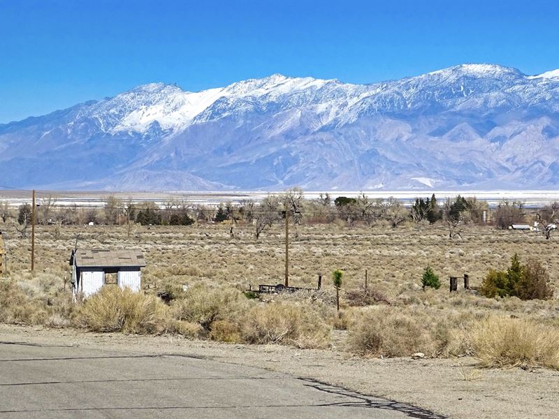 Utilities & Mountain Views : Olancha : Inyo County : California