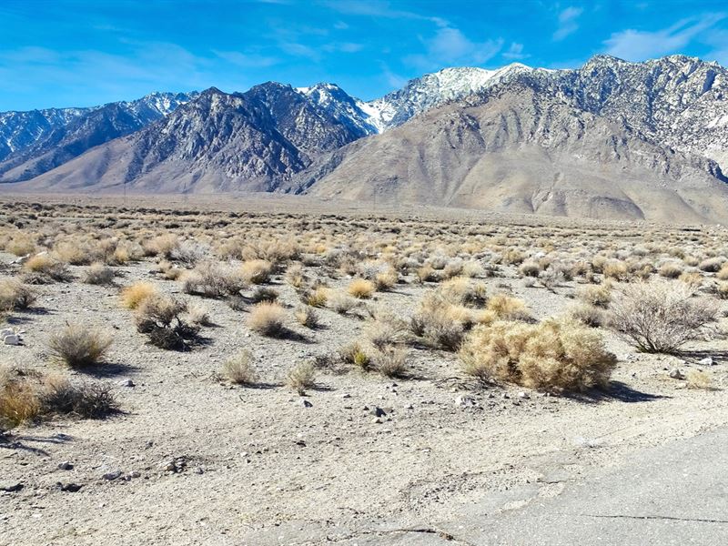 Utilities & Mountain Views : Olancha : Inyo County : California