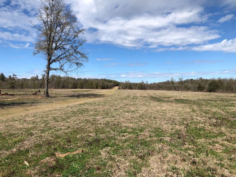 Flat Creek Preserve : Dry Branch : Twiggs County : Georgia