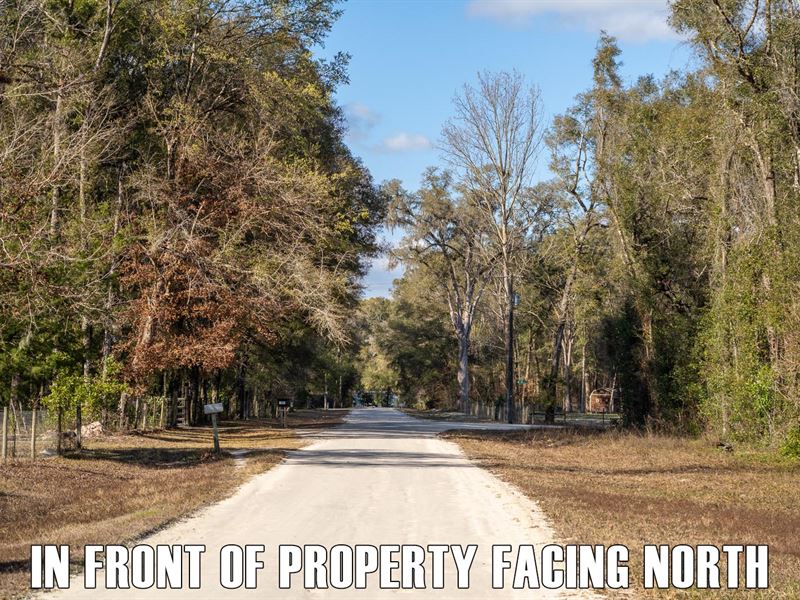 $9,900 Down, Country Property RV OK : Old Town : Dixie County : Florida