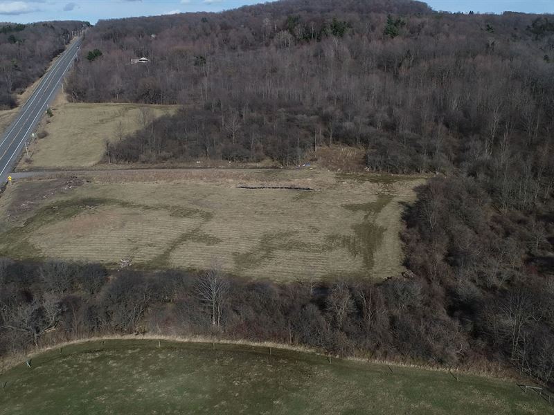 Spacious Building Lot on Route 20 : Cazenovia : Madison County : New York