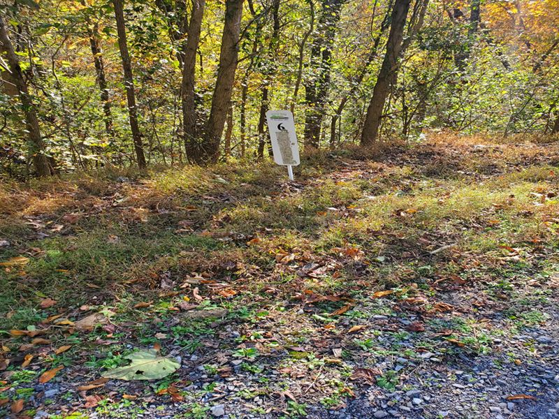 Cherokee Lake View Building Lot : Whitesburg : Hawkins County : Tennessee