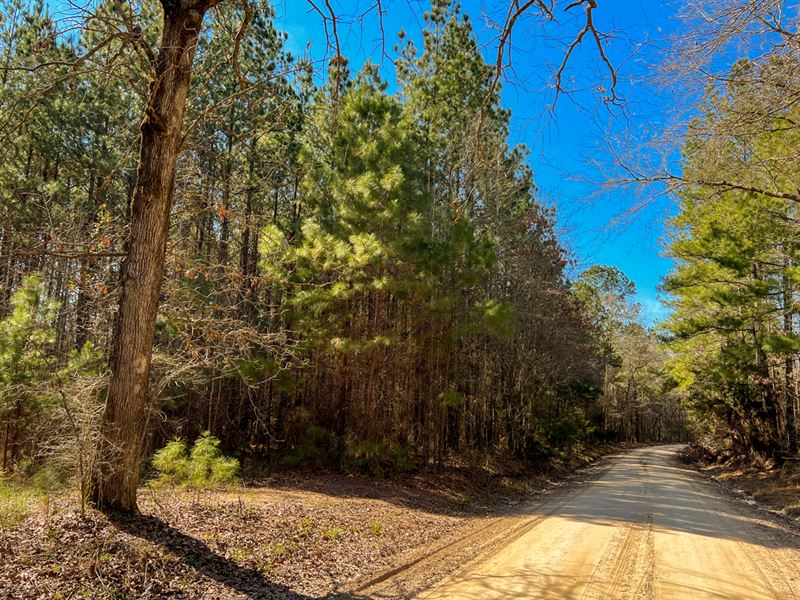 68 Acres, Paces Creek T3076-9 : Corrigan : Polk County : Texas