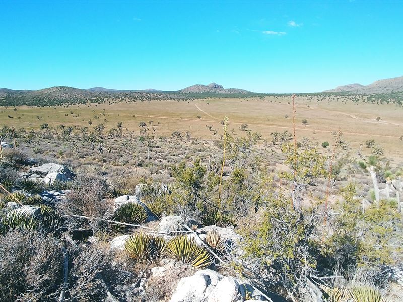 Off The Beaten Path of Grand Canyon : Meadview : Mohave County : Arizona