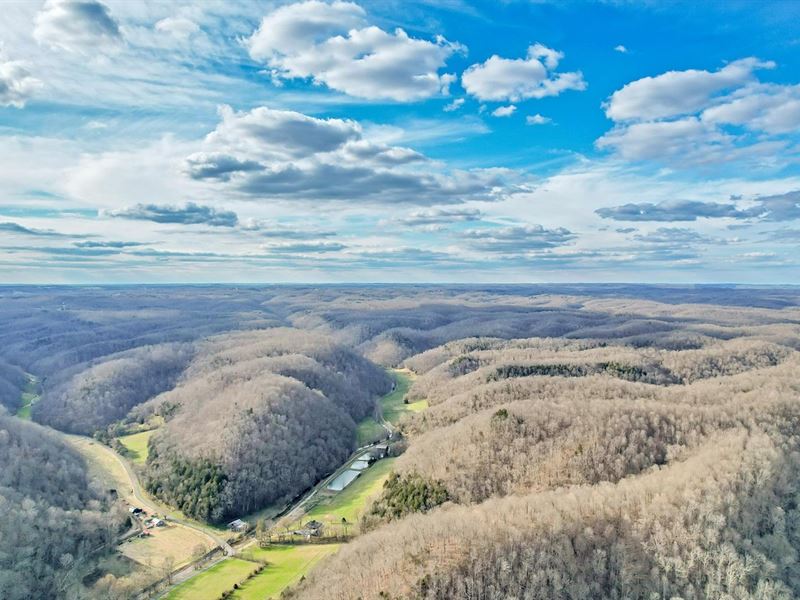Gorgeous Farm of 401.21 Acres Locat : Celina : Clay County : Tennessee