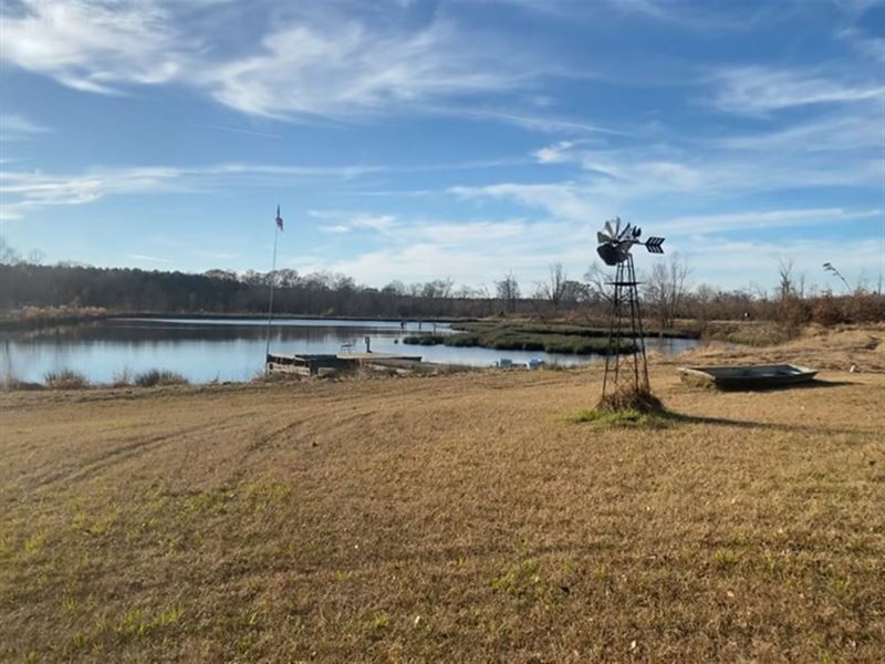 95 Acres with A Home in Carroll Cou : Vaiden : Carroll County : Mississippi