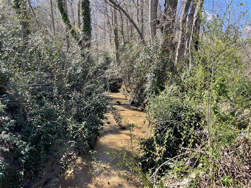 Wooded Acreage : Abbeville : South Carolina