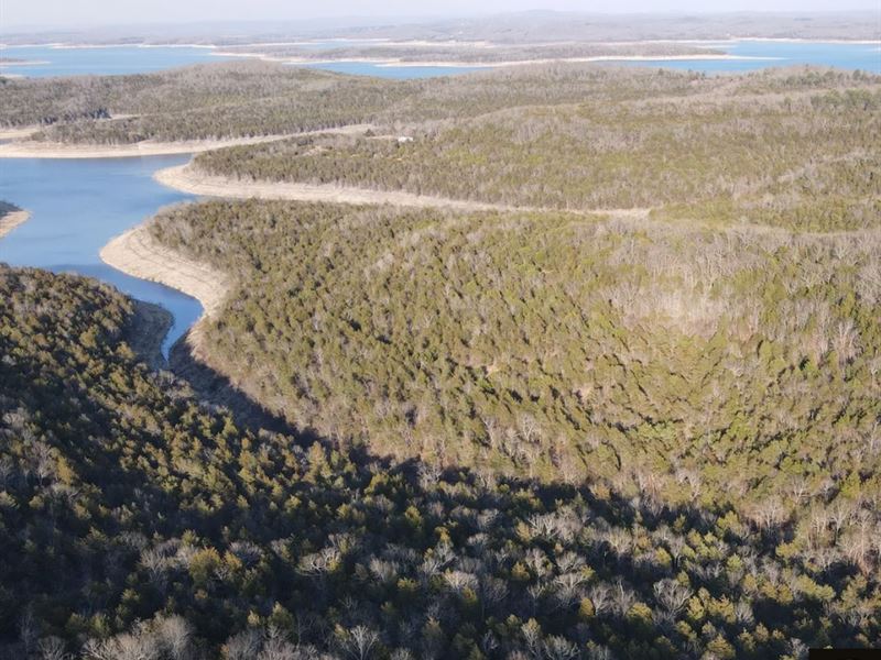 50 Ac Gorgeous Land Getaway : Yellville : Marion County : Arkansas