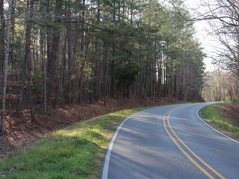 Land Between Birmingham and Auburn : Goodwater : Coosa County : Alabama