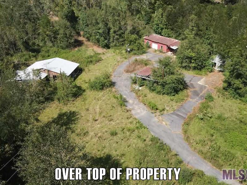 Homesite & Barn, Wells, Many Lots : Kentwood : Tangipahoa Parish : Louisiana