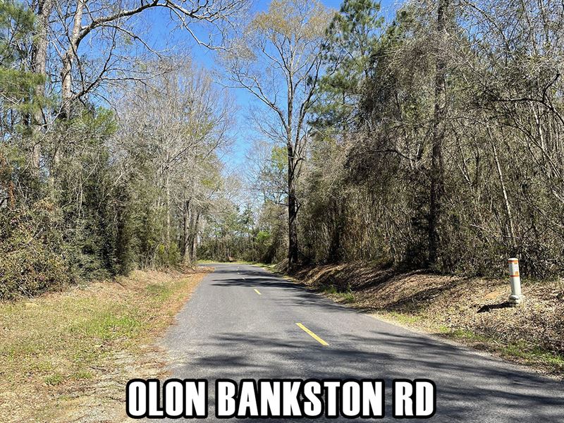 $900 Down, Owner Fin & City Water : Kentwood : Tangipahoa Parish : Louisiana