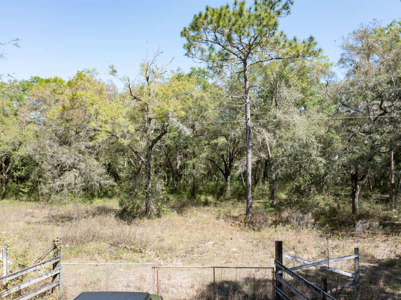 Gorgeous 10 Acres : Live Oak : Suwannee County : Florida