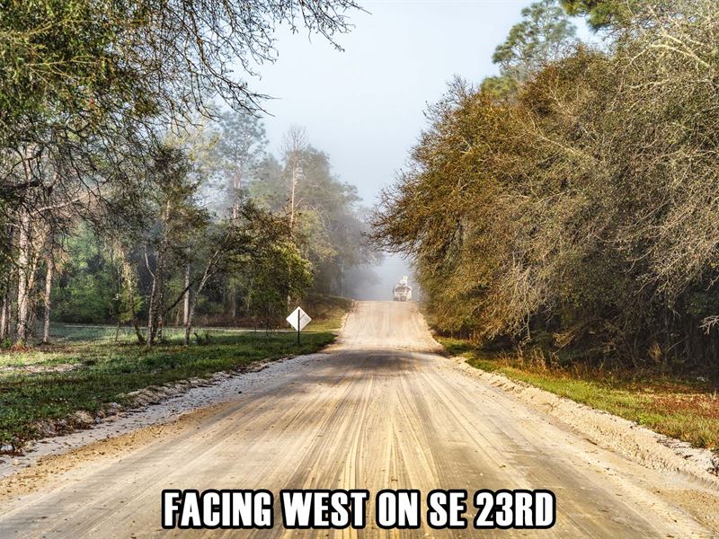 Rural Neighborhood, Packed Dirt Rd : Williston Highlands : Levy County : Florida