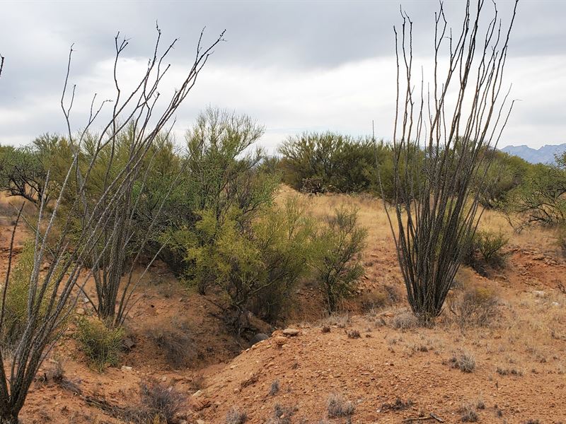 Sun, Space, and Everything You Need : Tucson : Pima County : Arizona