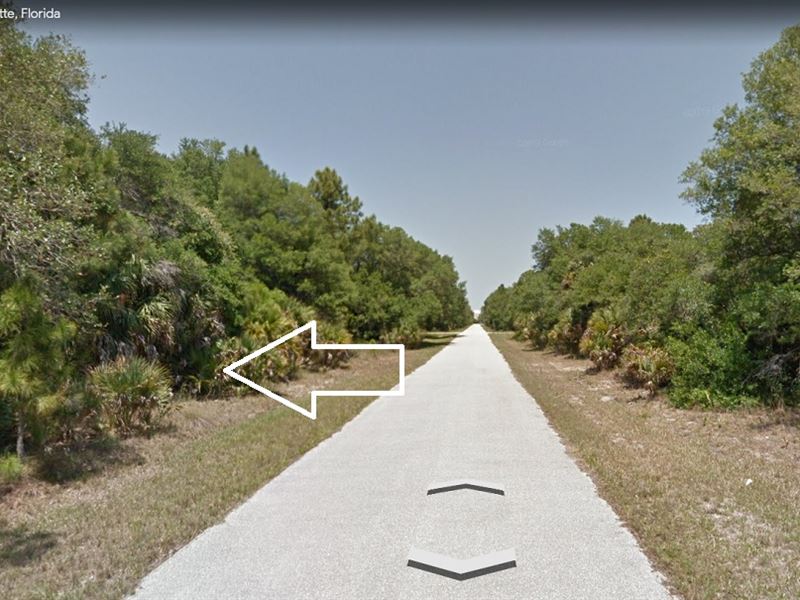 Beautiful Port Charlotte Homesite : Port Charlotte : Charlotte County : Florida