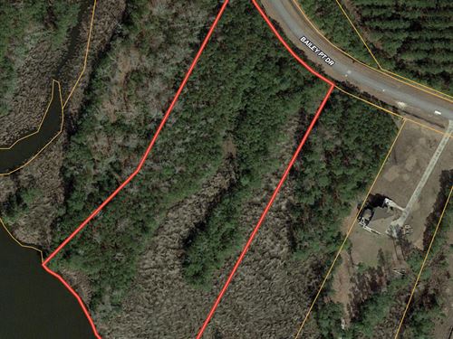 Beautiful Waterfront Property : Belhaven : Beaufort County : North Carolina