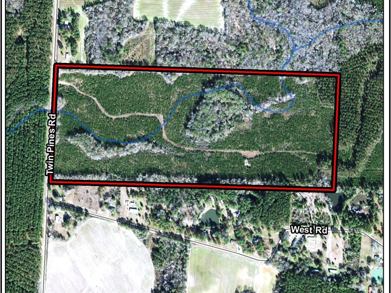 Twin Pines Tract : Cordele : Crisp County : Georgia