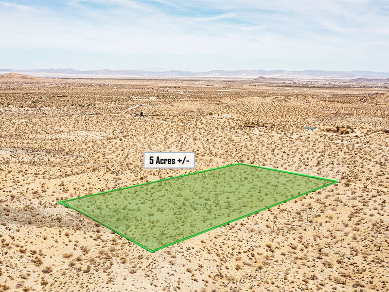 5 Ac in Jt's Hottest Neighborhood : Joshua Tree : San Bernardino County : California