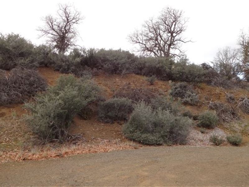 1.4 Acres in Kcre by Klamath River : Ager : Siskiyou County : California