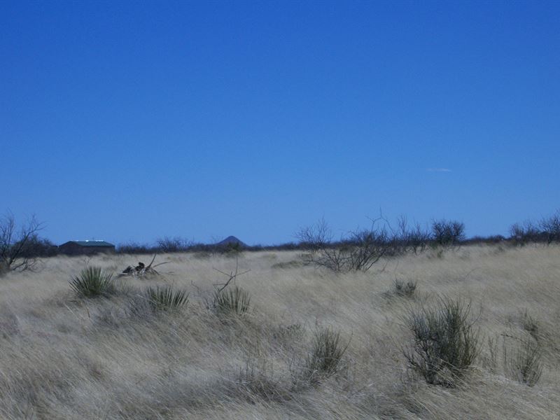 Discounted for Cash, Level Prairie : Pearce : Cochise County : Arizona
