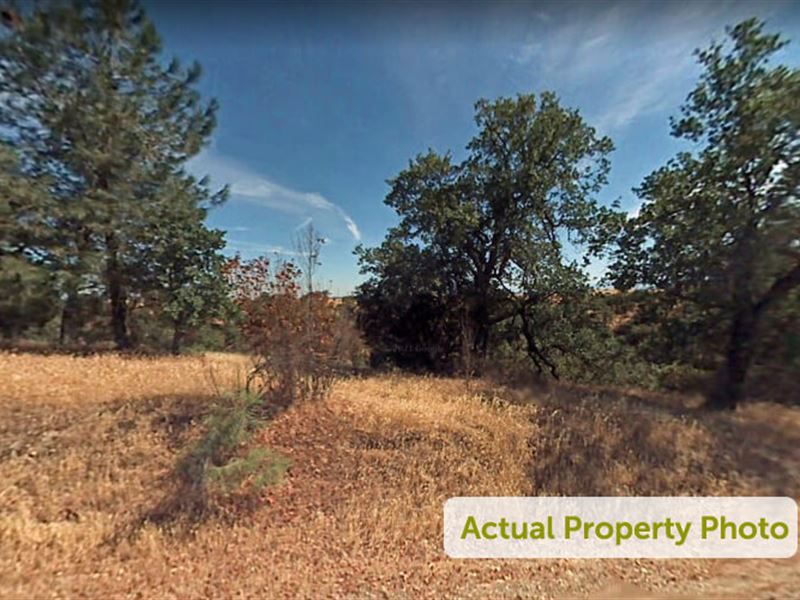 Ready for Your Countryside Cabin : Corning : Tehama County : California