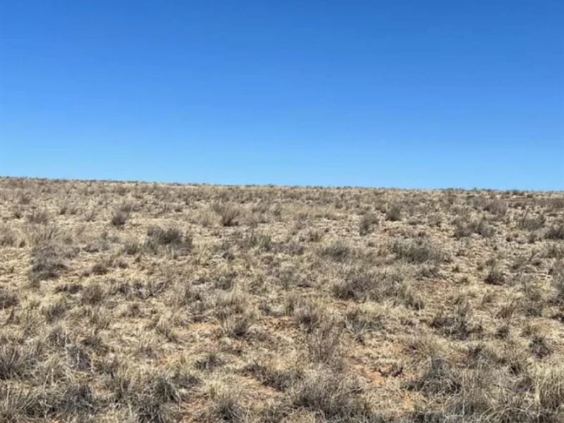 10 Ac No Restrictions Paradise : Stanley : Santa Fe County : New Mexico