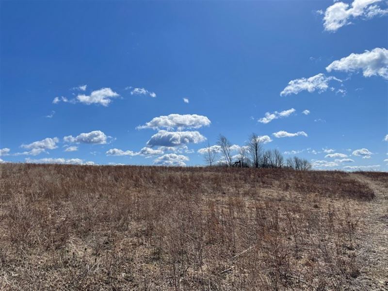 Near Birdseye Hollow State Forest : Bath : Steuben County : New York