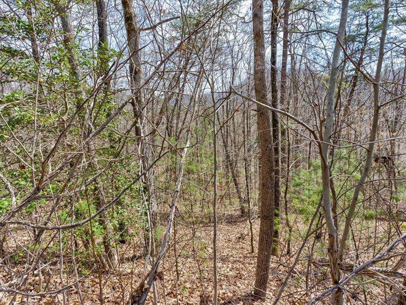 2+ Acre Building Lot in River Crest : Del Rio : Cocke County : Tennessee