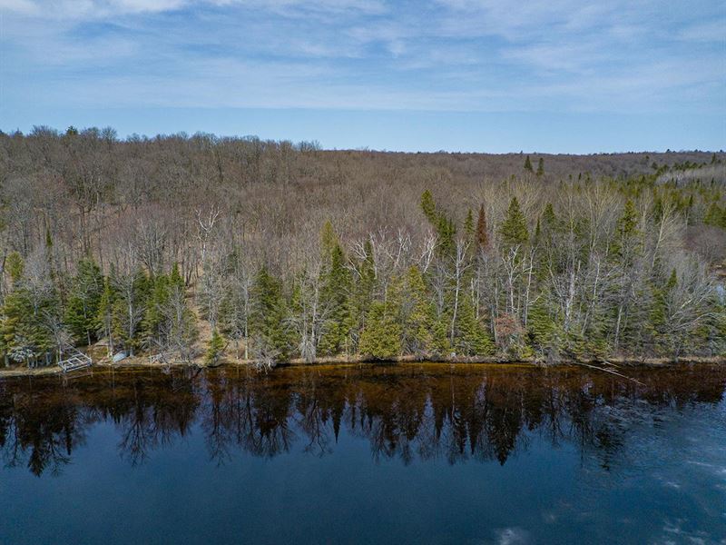 Duck Lake Parcel : Watersmeet : Gogebic County : Michigan